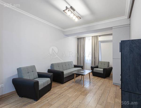 2-senyakanoc-bnakaran-vardzakalutyun-Yerevan-Arabkir