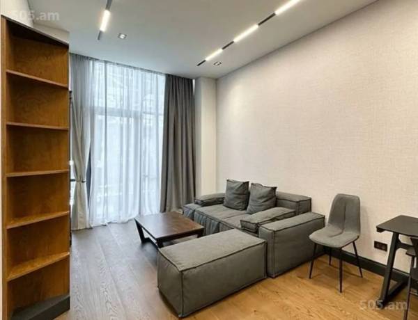 2-senyakanoc-bnakaran-vardzakalutyun-Yerevan-Center