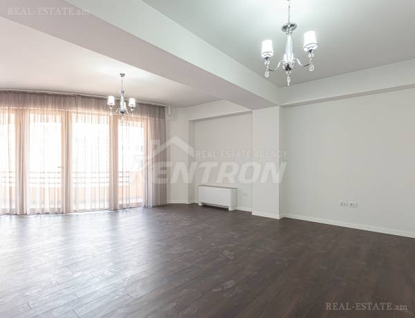 5-senyakanoc-bnakaran-vardzakalutyun-Yerevan-Center