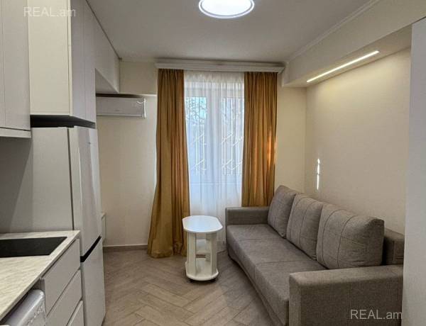 1-senyakanoc-bnakaran-vardzakalutyun-Yerevan-Arabkir