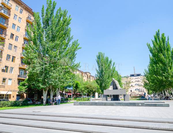 3-senyakanoc-bnakaran-vardzakalutyun-Yerevan-Center