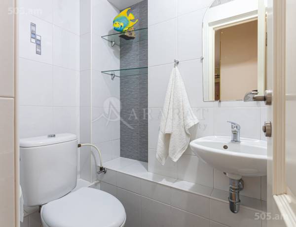 2-senyakanoc-bnakaran-vacharq-Yerevan-Center
