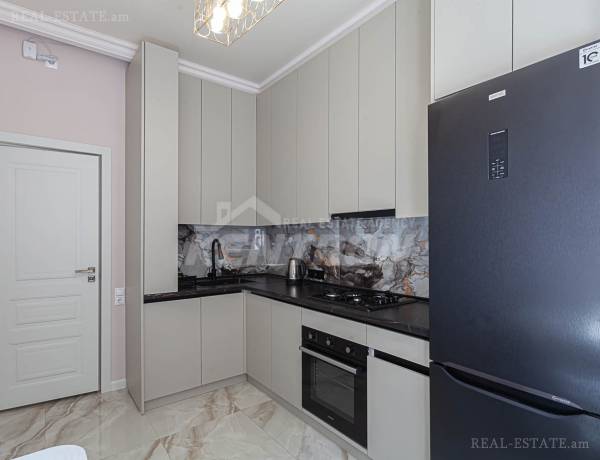 2-senyakanoc-bnakaran-vardzakalutyun-Yerevan-Davtashen