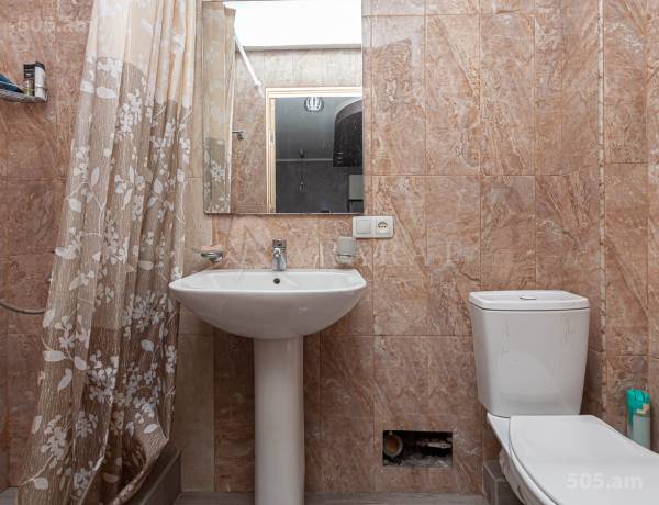 2-senyakanoc-bnakaran-vacharq-Yerevan-Center