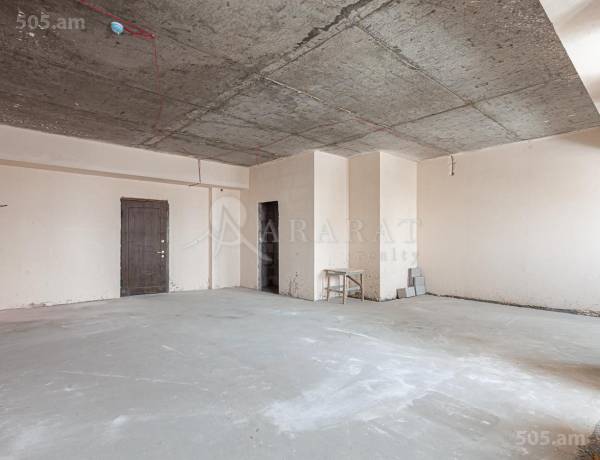 4-senyakanoc-bnakaran-vacharq-Yerevan-Arabkir