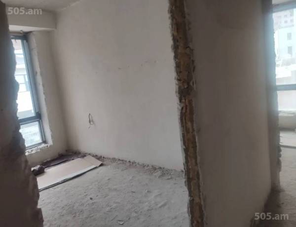 3-senyakanoc-bnakaran-vacharq-Yerevan-Avan