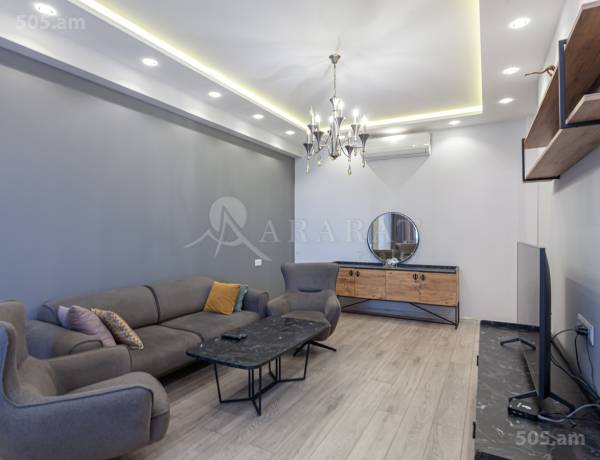 3-senyakanoc-bnakaran-vardzakalutyun-Yerevan-Center
