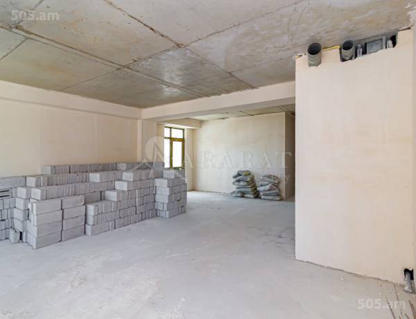 2-senyakanoc-bnakaran-vacharq-Yerevan-Center