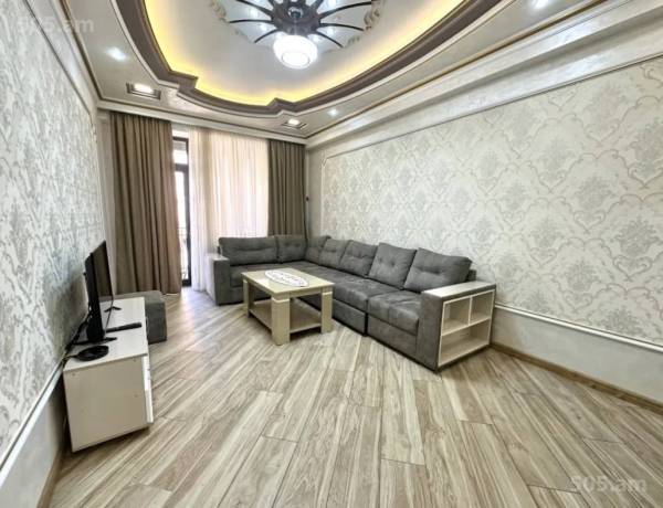 2-senyakanoc-bnakaran-vardzakalutyun-Yerevan-Center