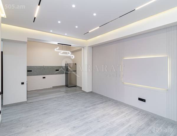 3-senyakanoc-bnakaran-vacharq-Yerevan-Center