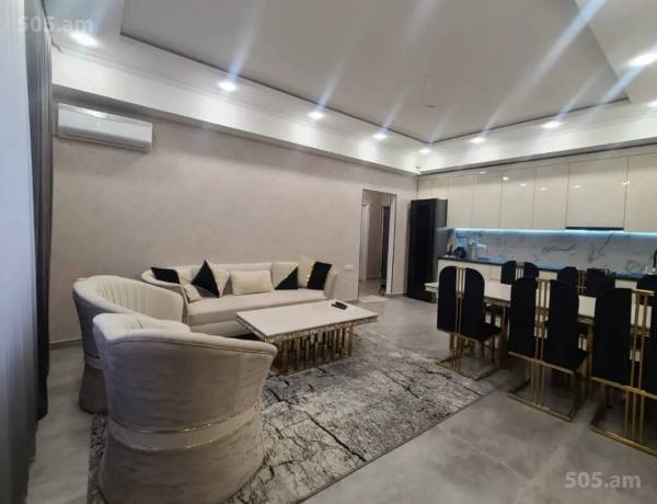 3-senyakanoc-bnakaran-vardzakalutyun-Yerevan-Center