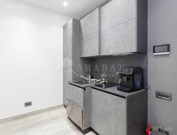1-senyakanoc-bnakaran-vacharq-Yerevan-Center