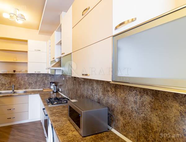 2-senyakanoc-bnakaran-vardzakalutyun-Yerevan-Center