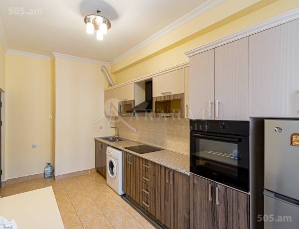 2-senyakanoc-bnakaran-vardzakalutyun-Yerevan-Arabkir