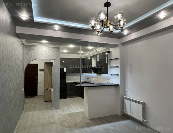 2-senyakanoc-bnakaran-vardzakalutyun-Yerevan-Qanaqer-Zeytun