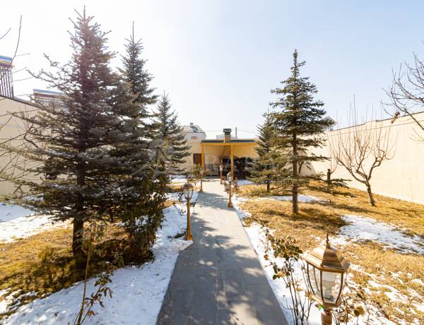 arandznatun-vacharq-Yerevan-Nor-Norq