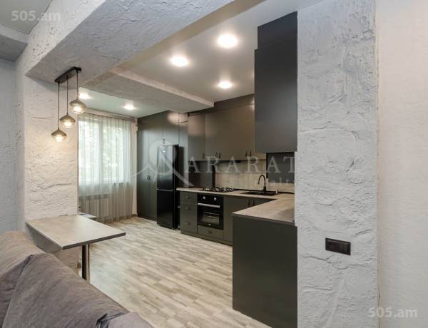 2-senyakanoc-bnakaran-vacharq-Yerevan-Arabkir