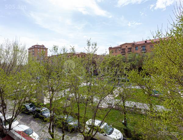 2-senyakanoc-bnakaran-vacharq-Yerevan-Center