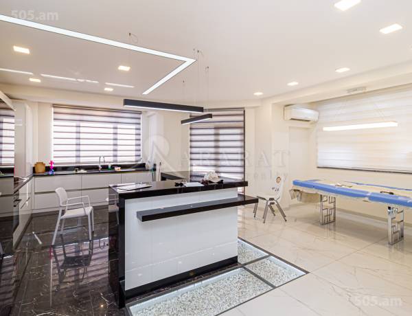 3-senyakanoc-bnakaran-vacharq-Yerevan-Arabkir