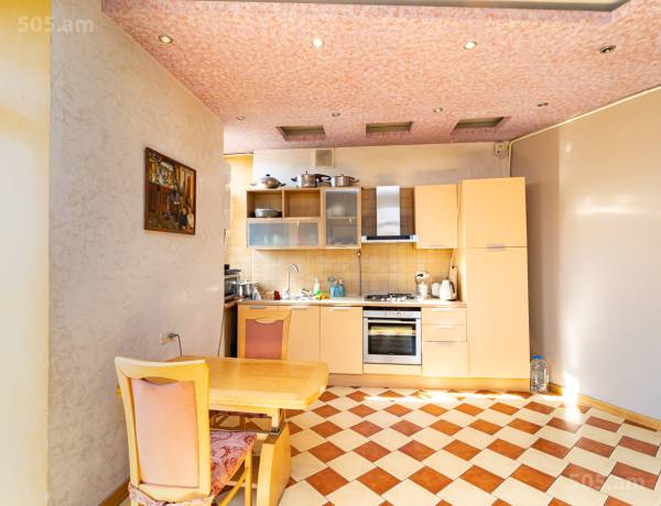 3-senyakanoc-bnakaran-vardzakalutyun-Yerevan-Center