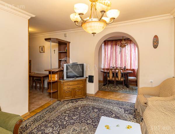 3-senyakanoc-bnakaran-vardzakalutyun-Yerevan-Center