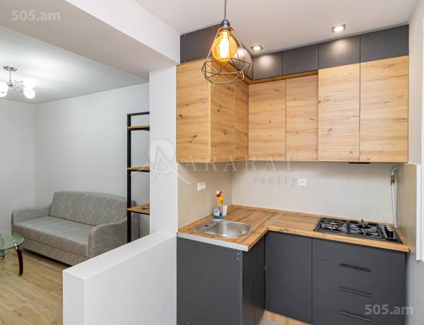 3-senyakanoc-bnakaran-vacharq-Yerevan-Arabkir