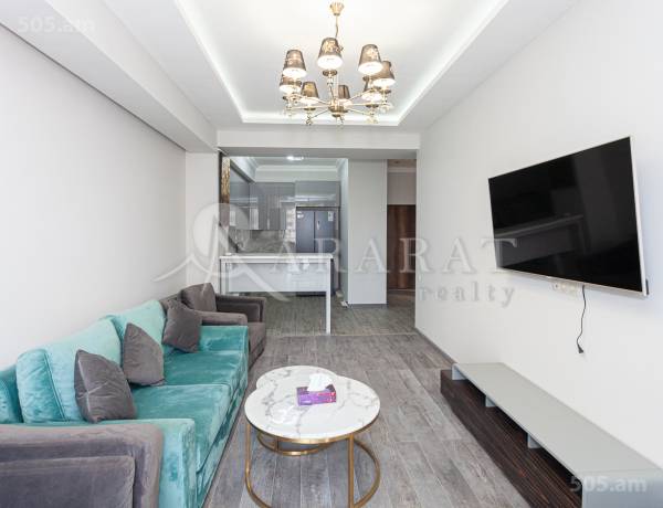 4-senyakanoc-bnakaran-vardzakalutyun-Yerevan-Arabkir