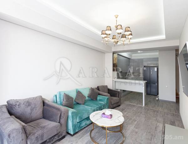 4-senyakanoc-bnakaran-vardzakalutyun-Yerevan-Arabkir