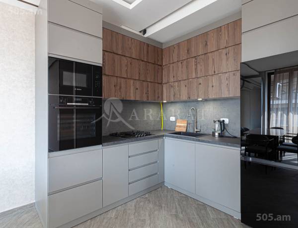 3-senyakanoc-bnakaran-vardzakalutyun-Yerevan-Center