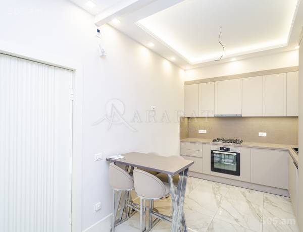 3-senyakanoc-bnakaran-vardzakalutyun-Yerevan-Arabkir