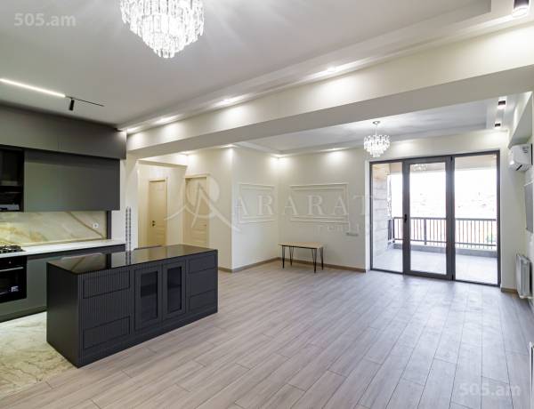 3-senyakanoc-bnakaran-vardzakalutyun-Yerevan-Center