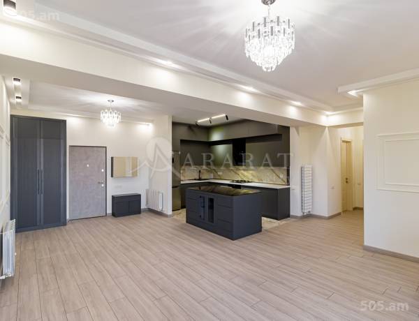 3-senyakanoc-bnakaran-vardzakalutyun-Yerevan-Center