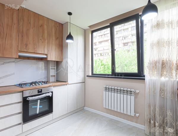 3-senyakanoc-bnakaran-vacharq-Yerevan-Center