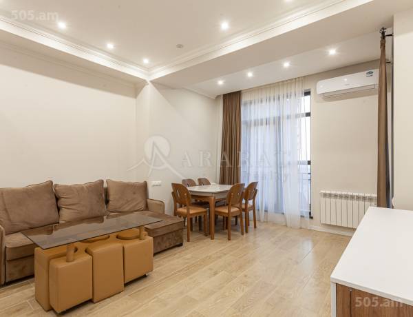 2-senyakanoc-bnakaran-vardzakalutyun-Yerevan-Center