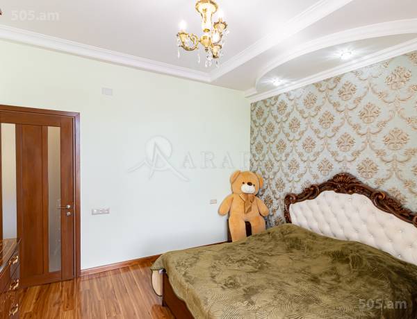 3-senyakanoc-bnakaran-vardzakalutyun-Yerevan-Center