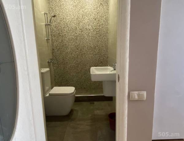 1-senyakanoc-bnakaran-vacharq-Yerevan-Center