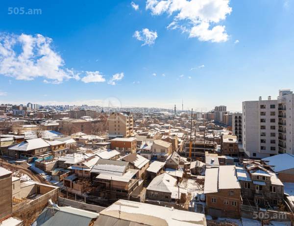 4-senyakanoc-bnakaran-vacharq-Yerevan-Arabkir
