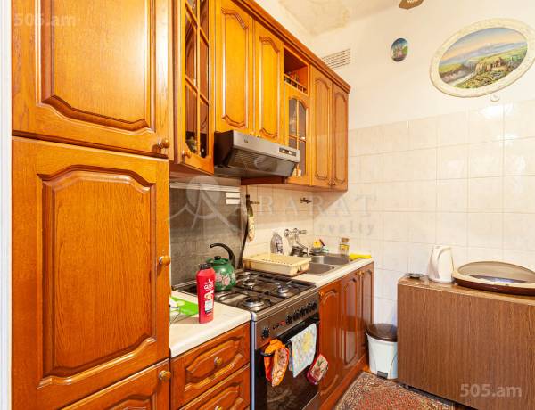 3-senyakanoc-bnakaran-vacharq-Yerevan-Center