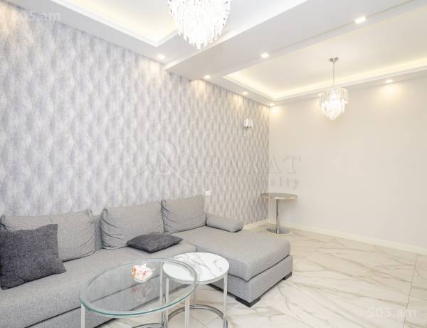 3-senyakanoc-bnakaran-vardzakalutyun-Yerevan-Arabkir