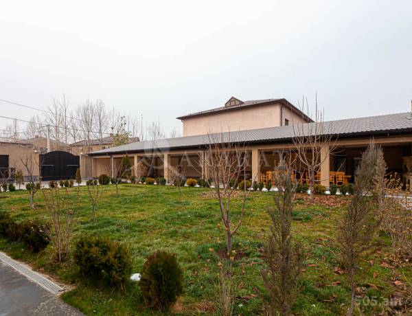 arandznatun-vacharq-Yerevan-Avan