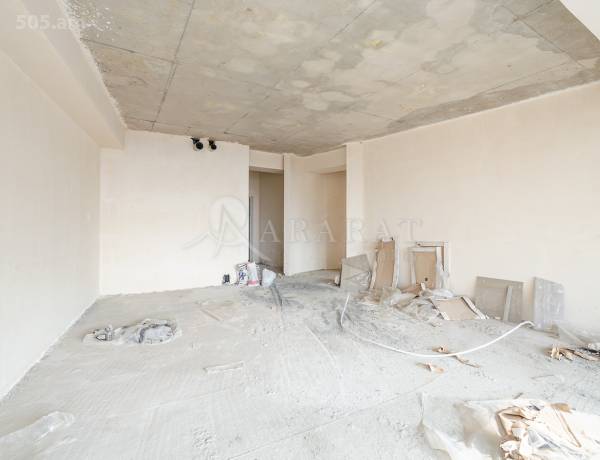 4-senyakanoc-bnakaran-vacharq-Yerevan-Arabkir