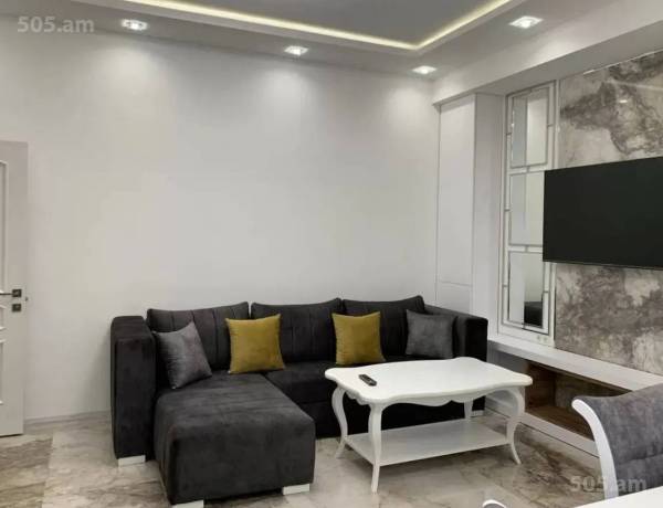 3-senyakanoc-bnakaran-vardzakalutyun-Yerevan-Center
