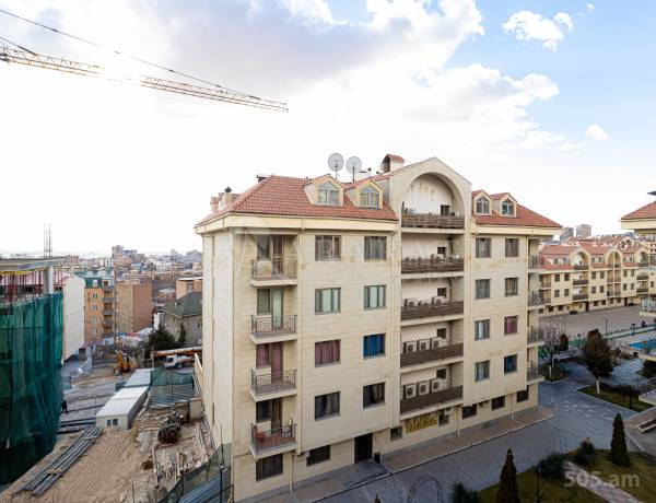 3-senyakanoc-bnakaran-vardzakalutyun-Yerevan-Center