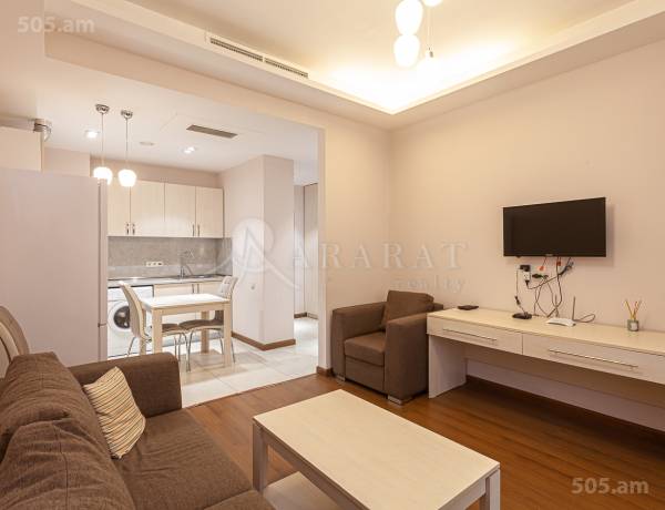 2-senyakanoc-bnakaran-vardzakalutyun-Yerevan-Center