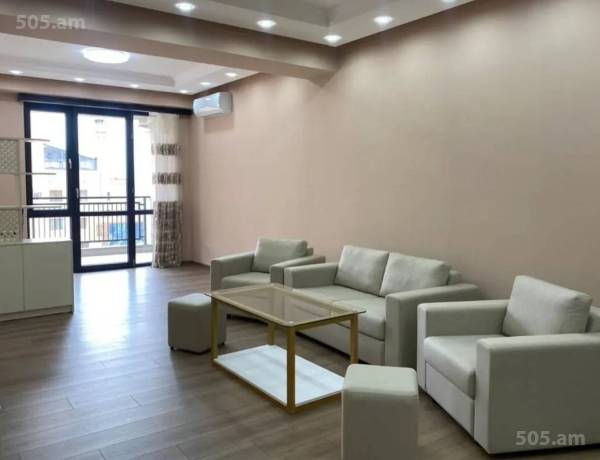 3-senyakanoc-bnakaran-vardzakalutyun-Yerevan-Center
