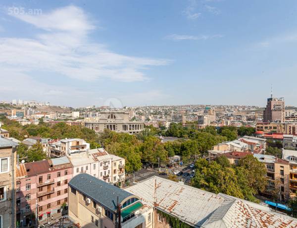 3-senyakanoc-bnakaran-vardzakalutyun-Yerevan-Center