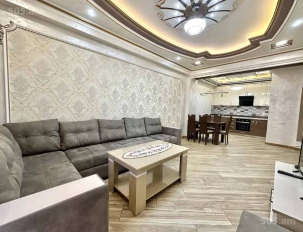 2-senyakanoc-bnakaran-vardzakalutyun-Yerevan-Center