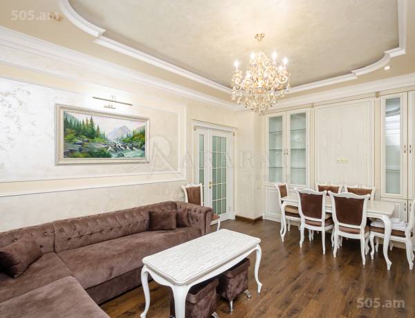 2-senyakanoc-bnakaran-vardzakalutyun-Yerevan-Center