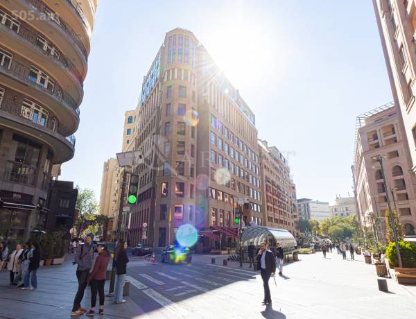 3-senyakanoc-bnakaran-vardzakalutyun-Yerevan-Center