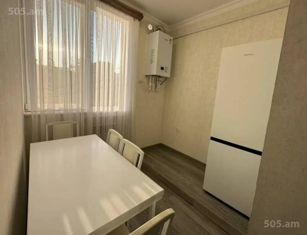 3-senyakanoc-bnakaran-vardzakalutyun-Yerevan-Achapnyak